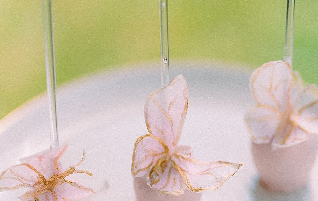 CAKEPOPS SCHMETERLING